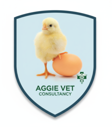 Aggie Veterinary Consult